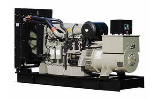 高效抽油泵的守護神 Perkins過濾器的卓越性能與應用